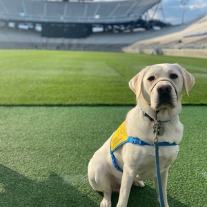 Fundraising Page: Andrew Cleek